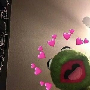 Meet your Posher, Ara